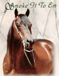 Moench Ranch Stallion: Smoke It To Em 4